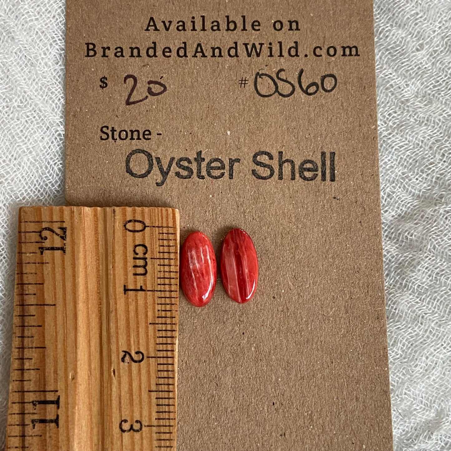 Oyster Shell Cabochon - OS60