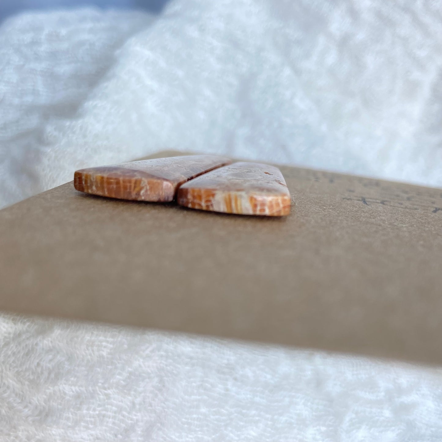 Fossil Coral Cabochon - FC78