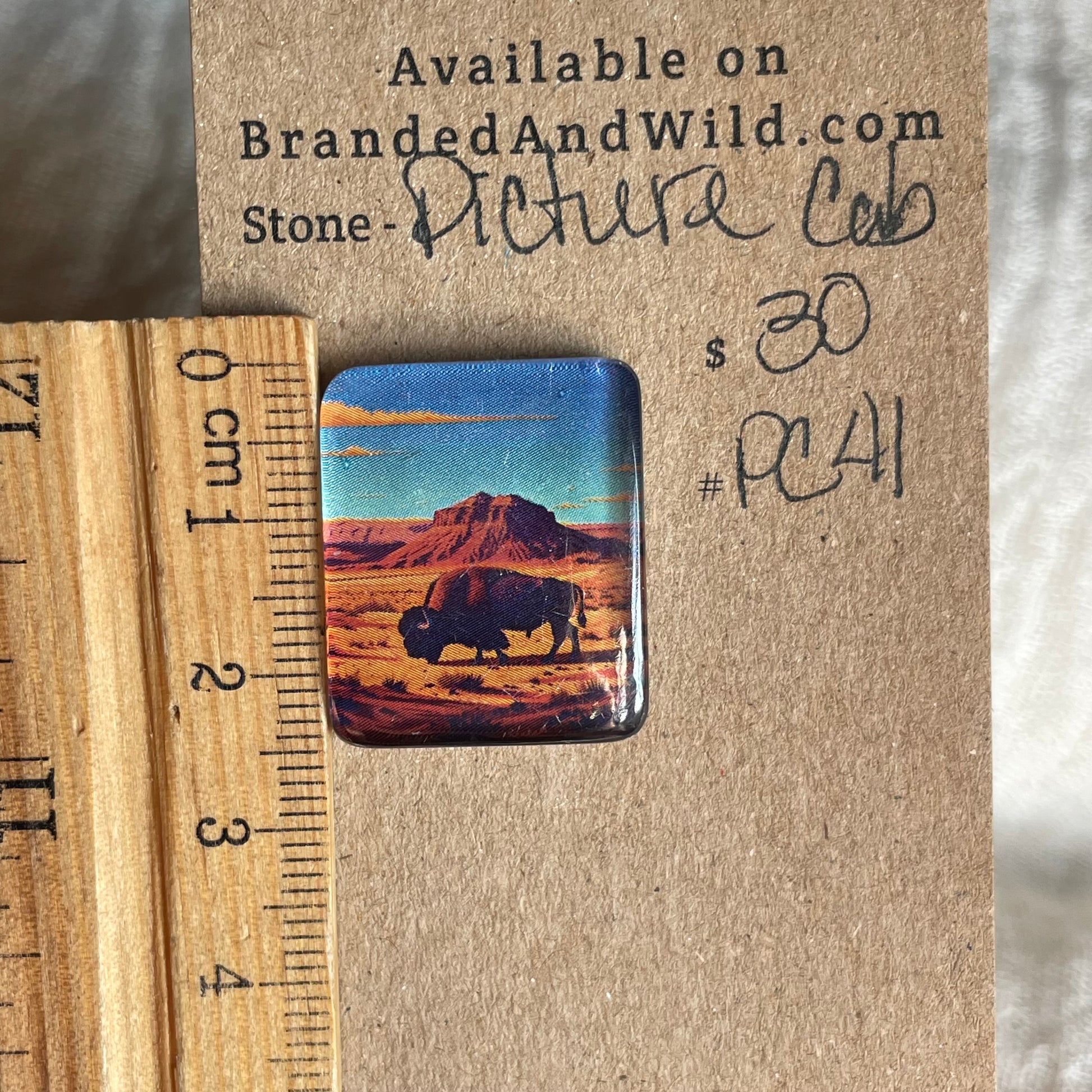 Picture Cabochon - Cabochon - PC41 4C4AF49E-FF7B-420F-8BE6-8DC0FC3168A9 Brandedandwild.com