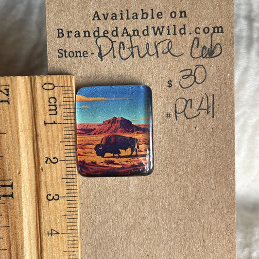 Picture Cabochon - Cabochon - PC41 4C4AF49E-FF7B-420F-8BE6-8DC0FC3168A9 Brandedandwild.com