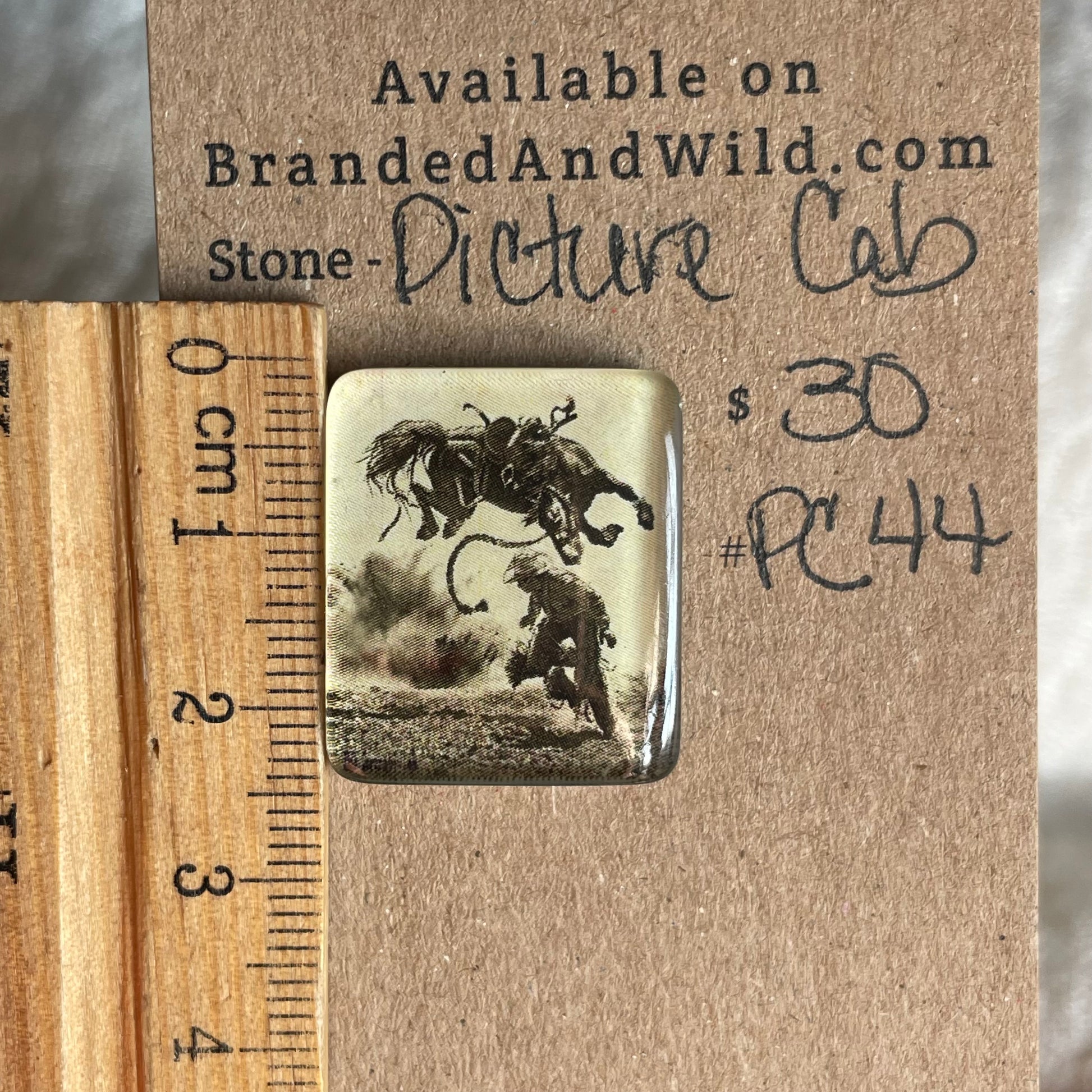 Picture Cabochon - Cabochon - PC44 4C4BA4C8-2E30-4937-B6C1-AF67F16771AB Brandedandwild.com