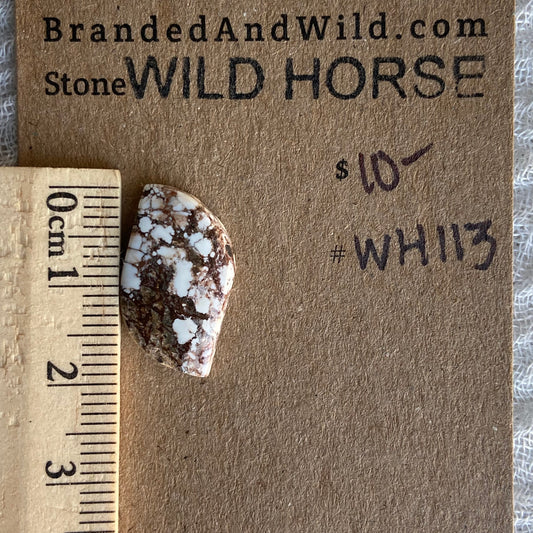 Wild Horse Cabochon - WH113