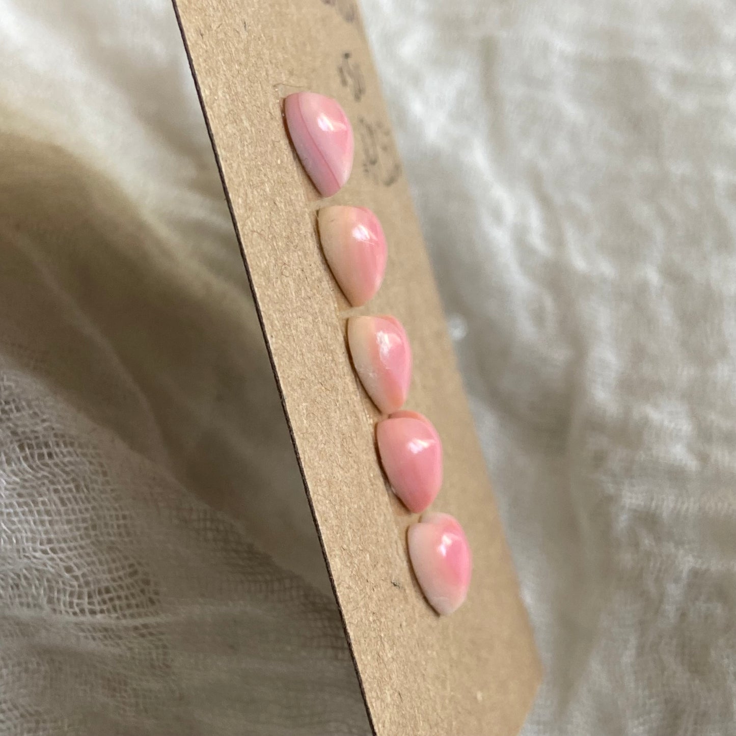 Pink Conch Cabochon - PC52 4CA73D3C-6014-40A6-AC70-06A5C4863257 Brandedandwild.com