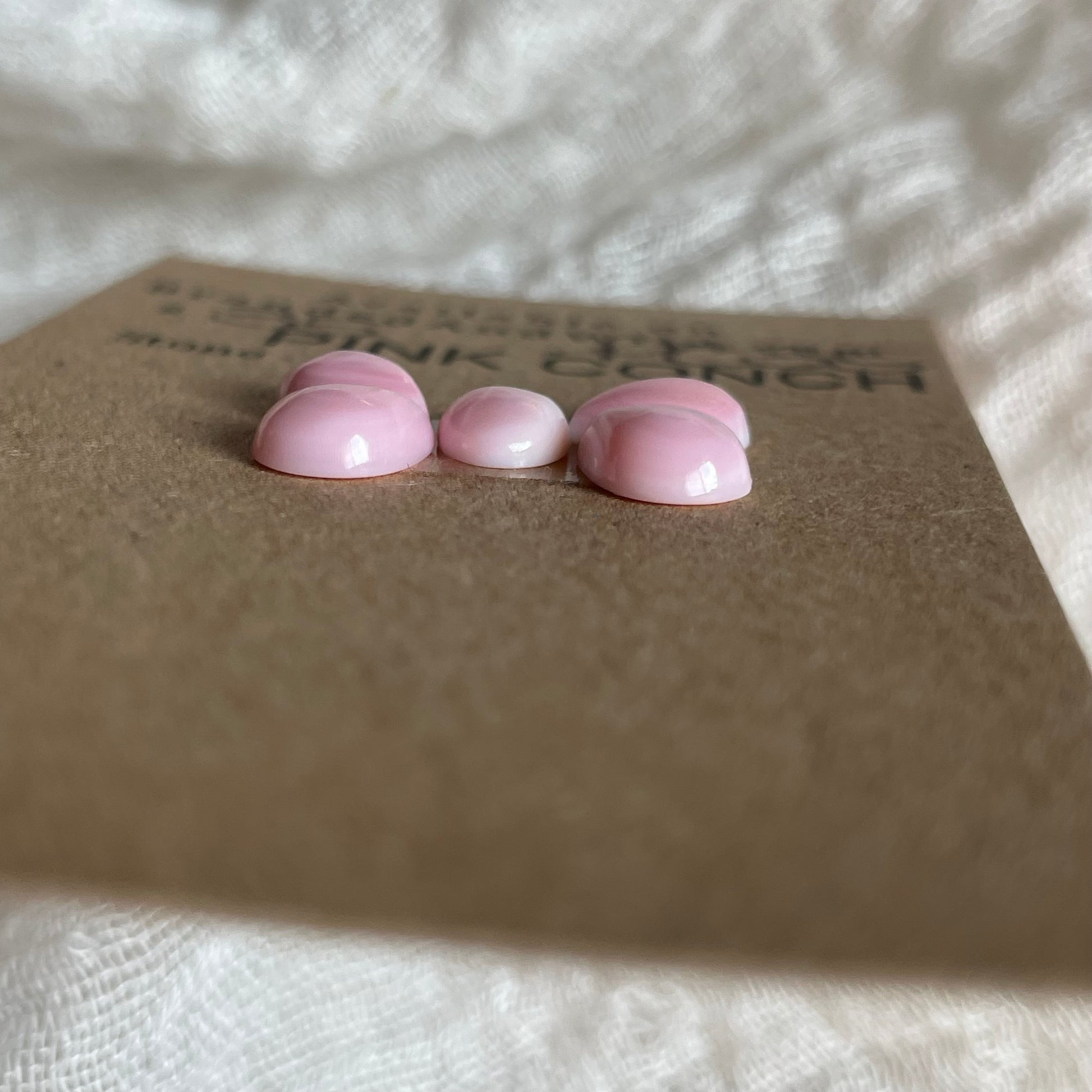Pink Conch Cabochon - PC35 4CB4E0D1-7733-4988-BA13-D4531CEADBD2 Brandedandwild.com