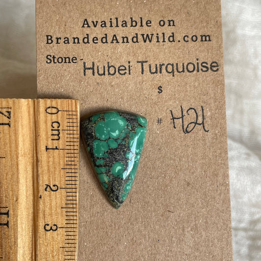 Hubei Turquoise Cabochon - H21 4CCBD7ED-7522-460C-B5D5-F2E289C1DF9C Brandedandwild.com