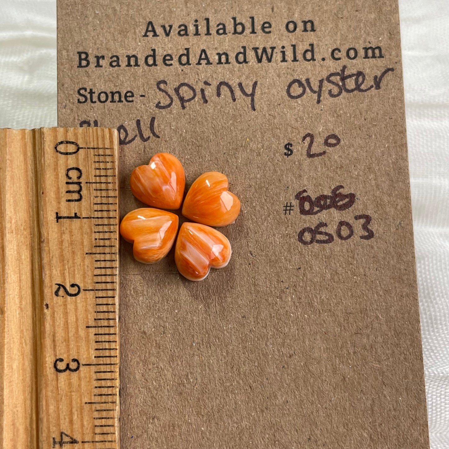 Oyster Shell Cabochon - S0S03 4CD5B565-06EC-4388-A1BC-ABDDD9947A95 Brandedandwild.com