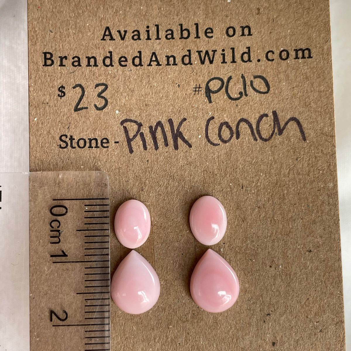 Pink Conch Cabochon - PC23 4CDCBA60-3178-4BEB-8D21-FA0D996B769A Brandedandwild.com