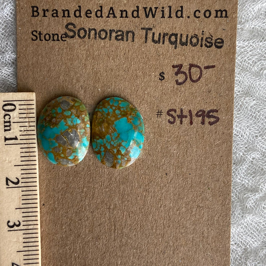 Sonoran Turquoise Cabochon - ST195