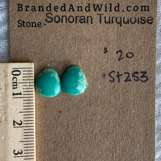 Sonoran Turquoise Cabochon - ST253