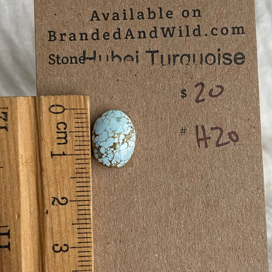 Hubei Turquoise Cabochon - H20