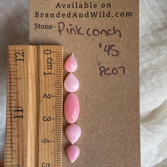 Pink Conch Cabochon - PC07