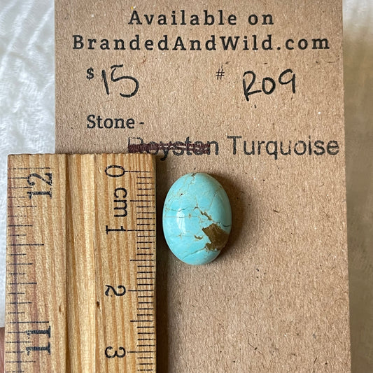 #8 Turquoise Cabochon - R09 4D5819FF-DF6A-48D2-97F0-DCD4CE68B1AE Brandedandwild.com