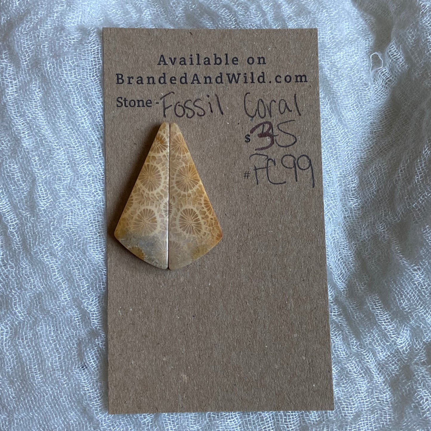 Fossil Coral Cabochon - FC99
