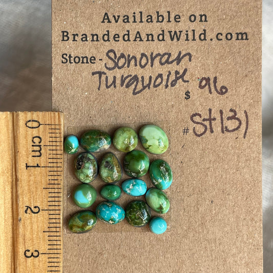 Sonoran Turquoise Cabochon - ST131