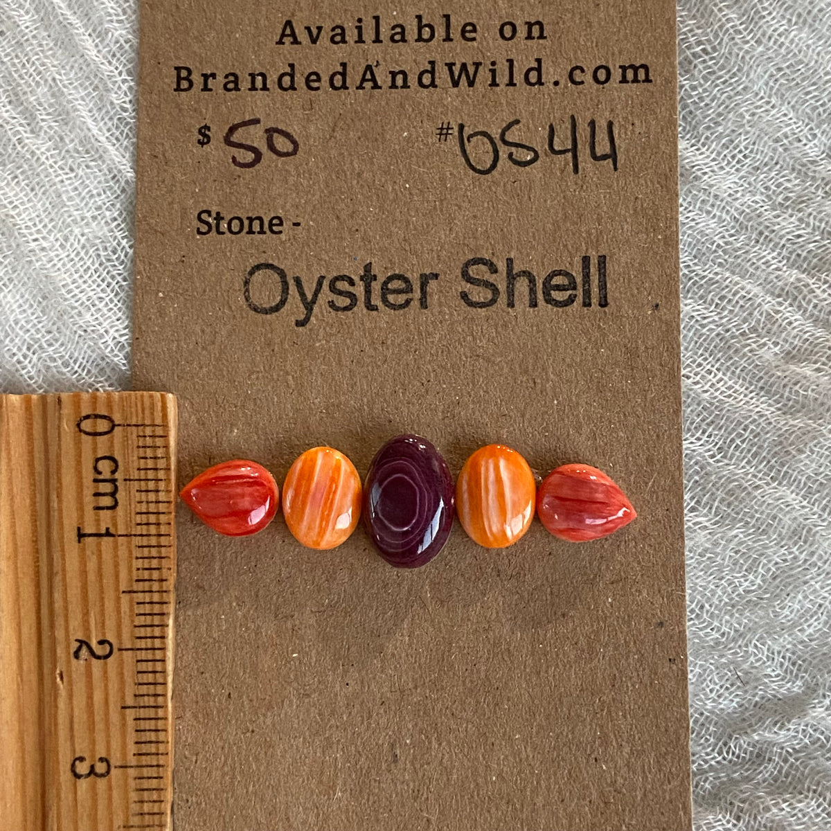 Oyster Shell Cabochon - OS44