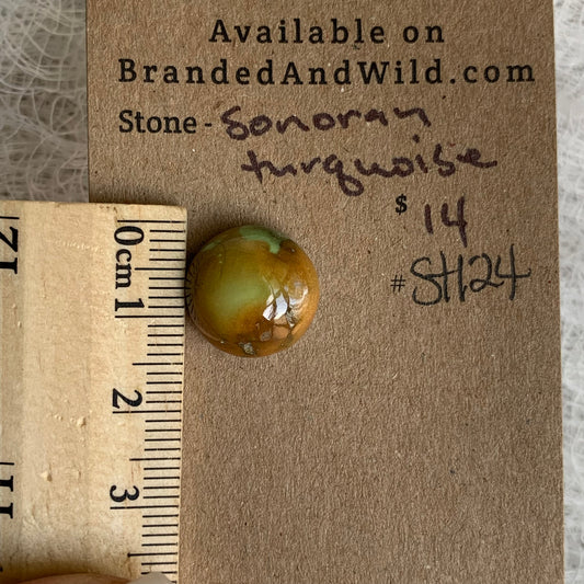 Sonoran Turquoise Cabochon - ST124