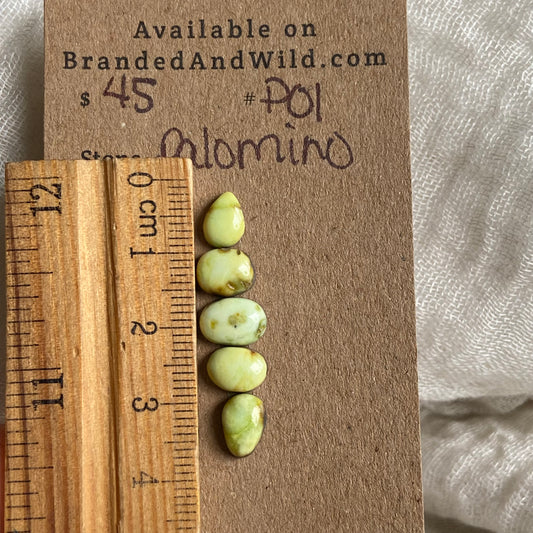 Palomino Cabochon - P01 4DB7A44A-8C34-4ECF-B284-8D8E464CE12D Brandedandwild.com