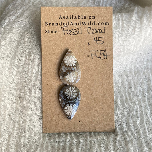 Fossil Coral Cabochon - FC54