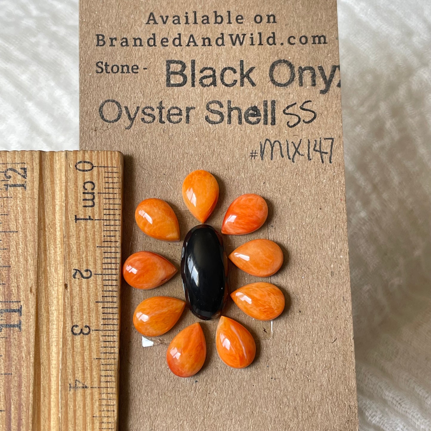 Oyster Shell / Black Onyx Cabochon - Mix147 4DCFFD54-EB81-41F6-BBAC-0A630E61E7B8 Brandedandwild.com