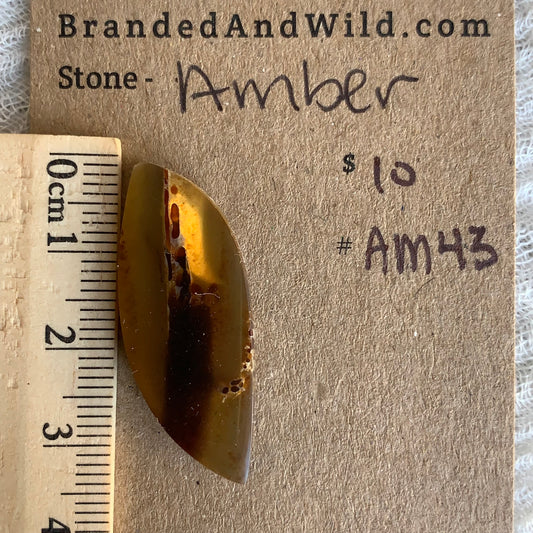 Amber Cabochon AM43