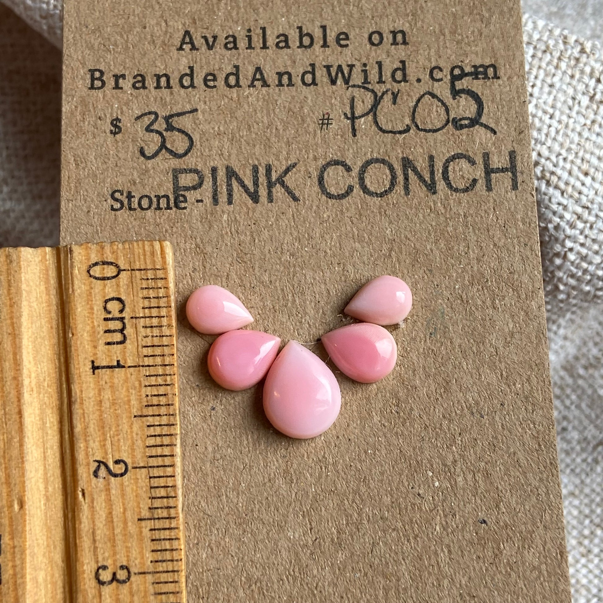 Pink Conch Cabochon - PC02 4E0F5D8F-6869-4839-A154-94921E51FCEA Brandedandwild.com