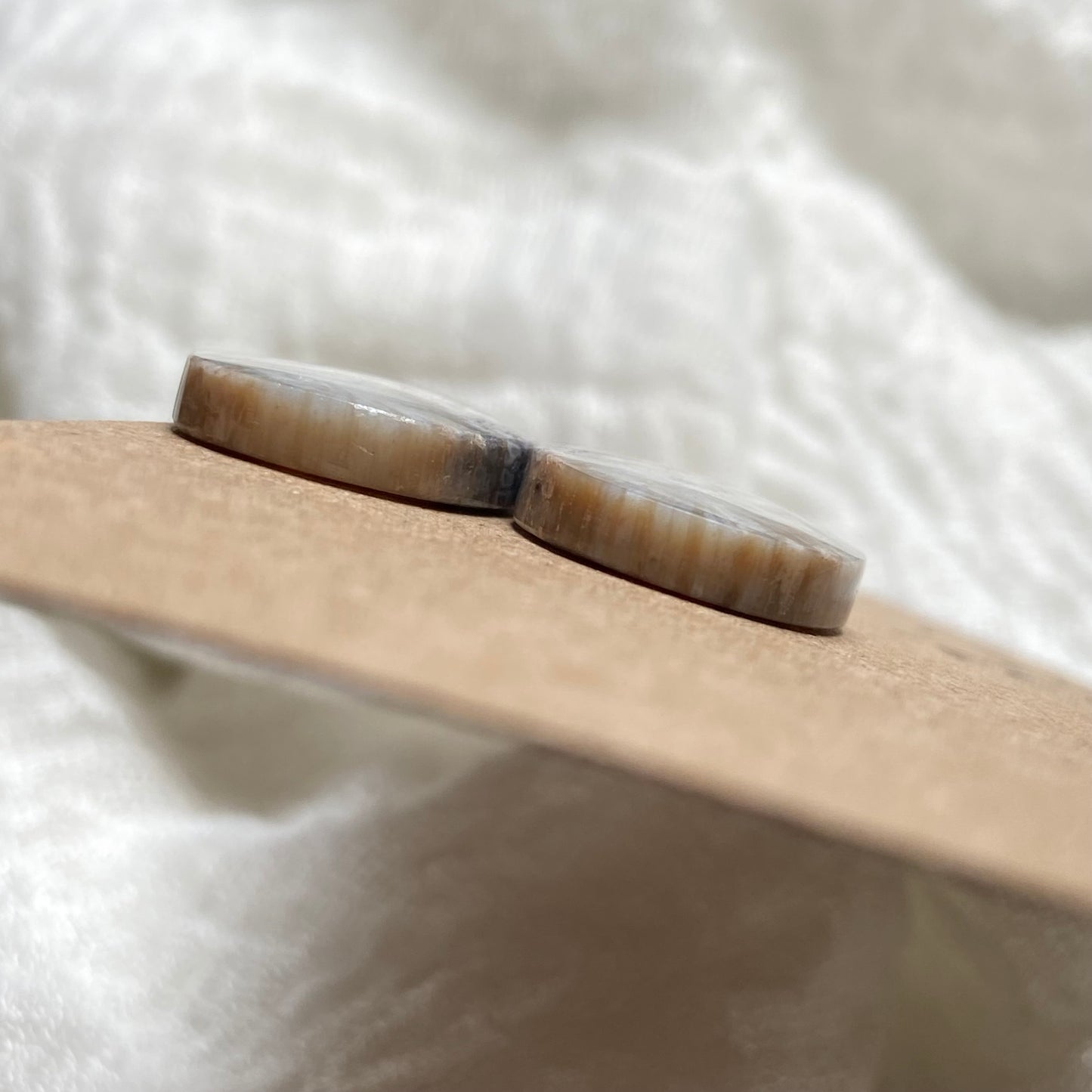 Fossil Coral Cabochon - FC63