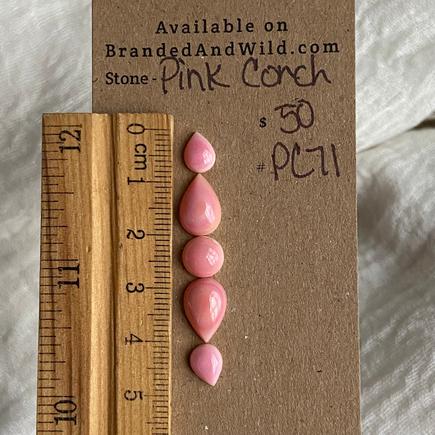 Pink Conch Cabochon - PC71