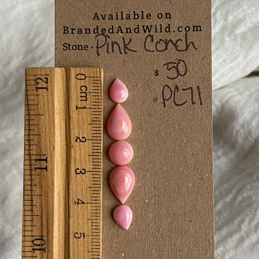 Pink Conch Cabochon - PC71