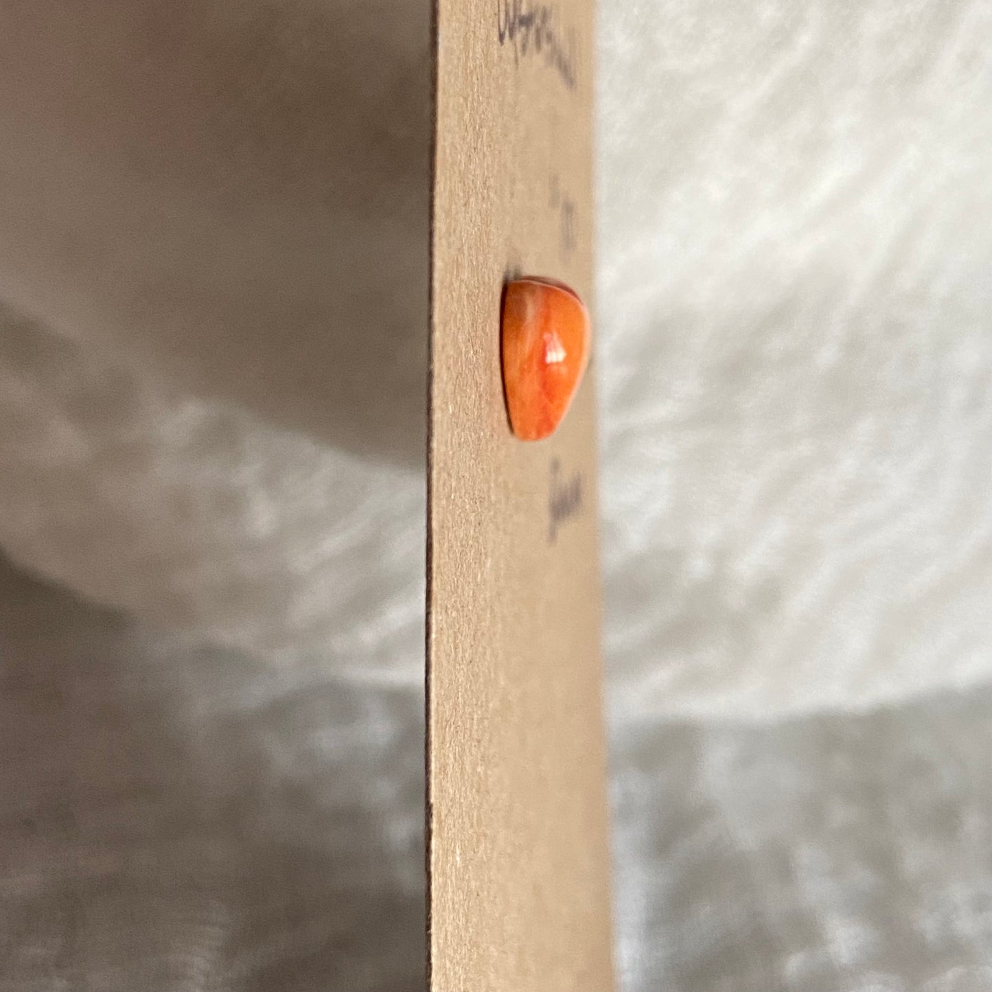 Oystershell Cabochon - OS12