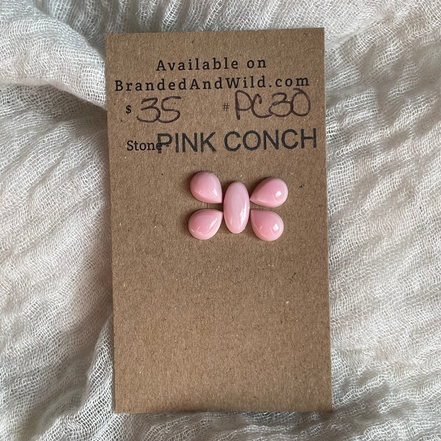 Pink Conch Cabochon - PC30 4E5EA4FE-E327-4EC6-9A5F-416BDB5E8A5C Brandedandwild.com
