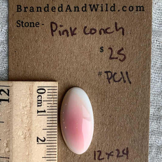 Pink Conch Cabochon - PC11