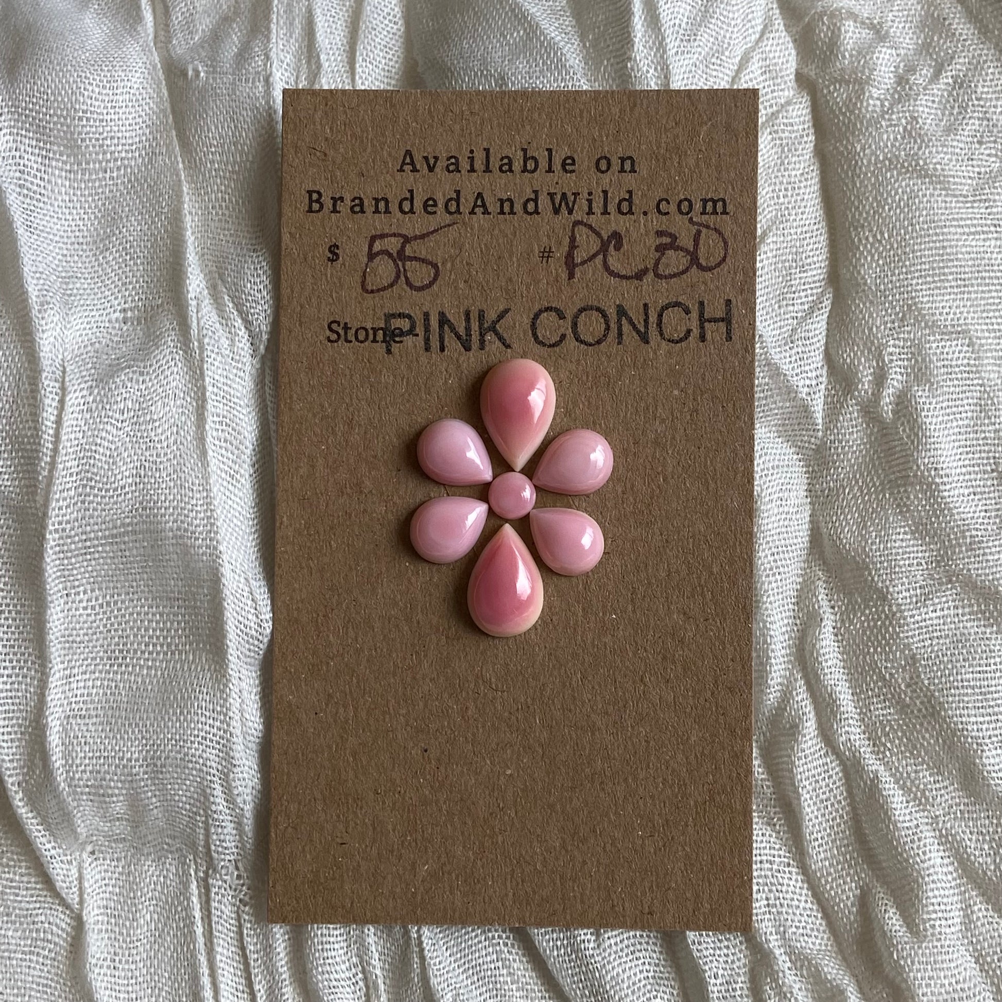 Pink Conch Cabochon - PC30 4E6EDB8F-FF51-47B1-88C4-7313BA1B83C3 Brandedandwild.com