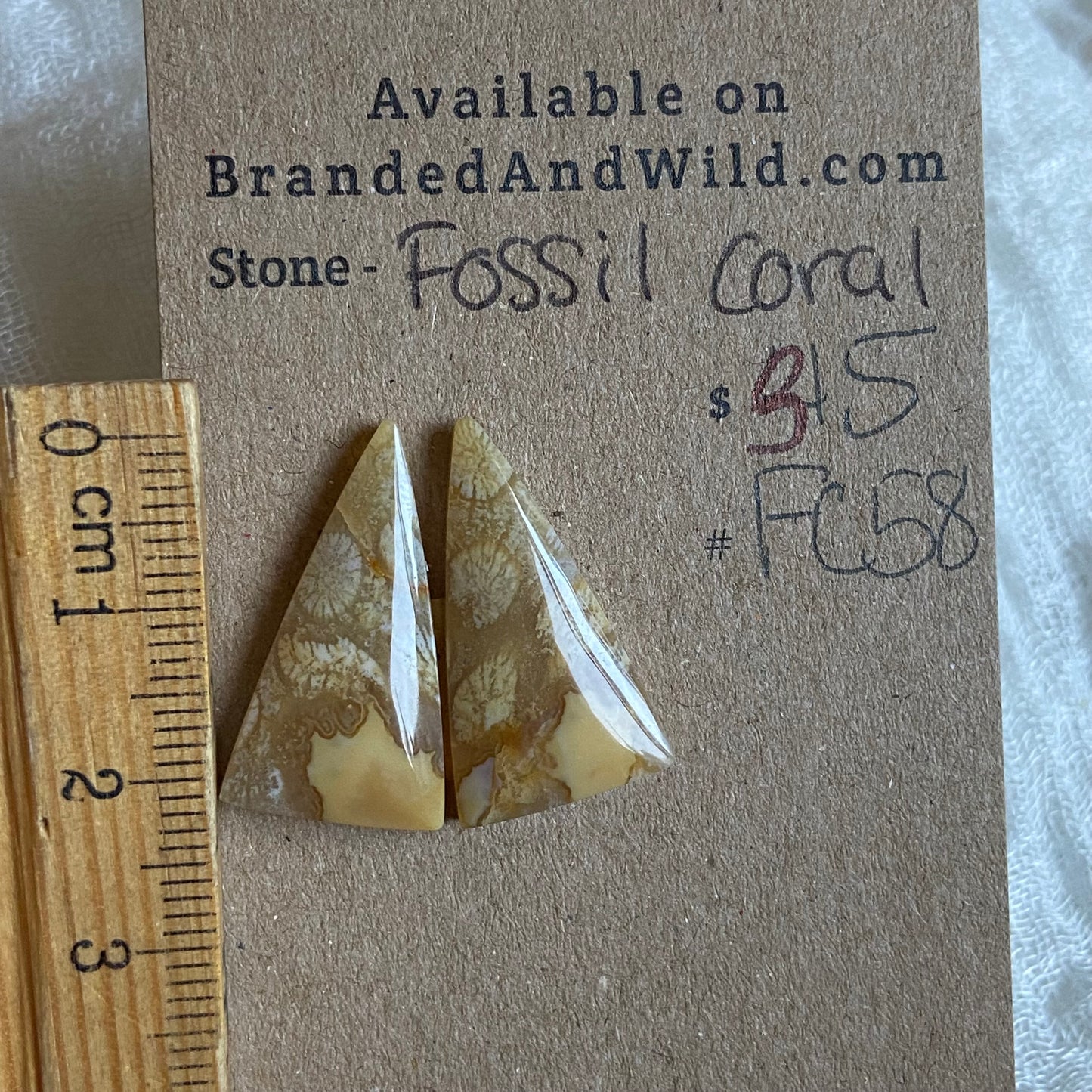 Fossil Coral Cabochon - FC58