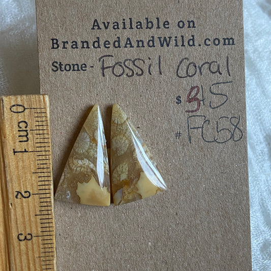 Fossil Coral Cabochon - FC58 4E708286-63AE-4B3C-8304-0DF979EF9A0F Brandedandwild.com