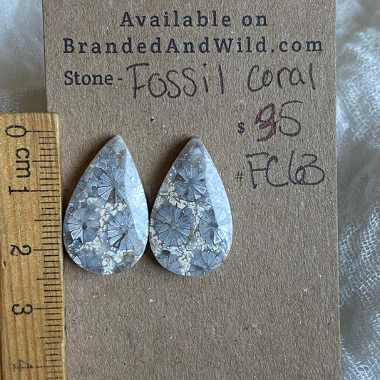 Fossil Coral Cabochon - FC63 4E887FC0-17D4-4570-8723-6C86E477B036 Brandedandwild.com