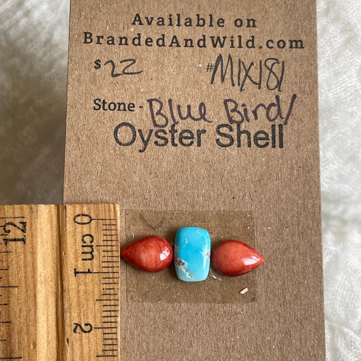 Oyster Shell / Blue bird Cabochon - MIX181