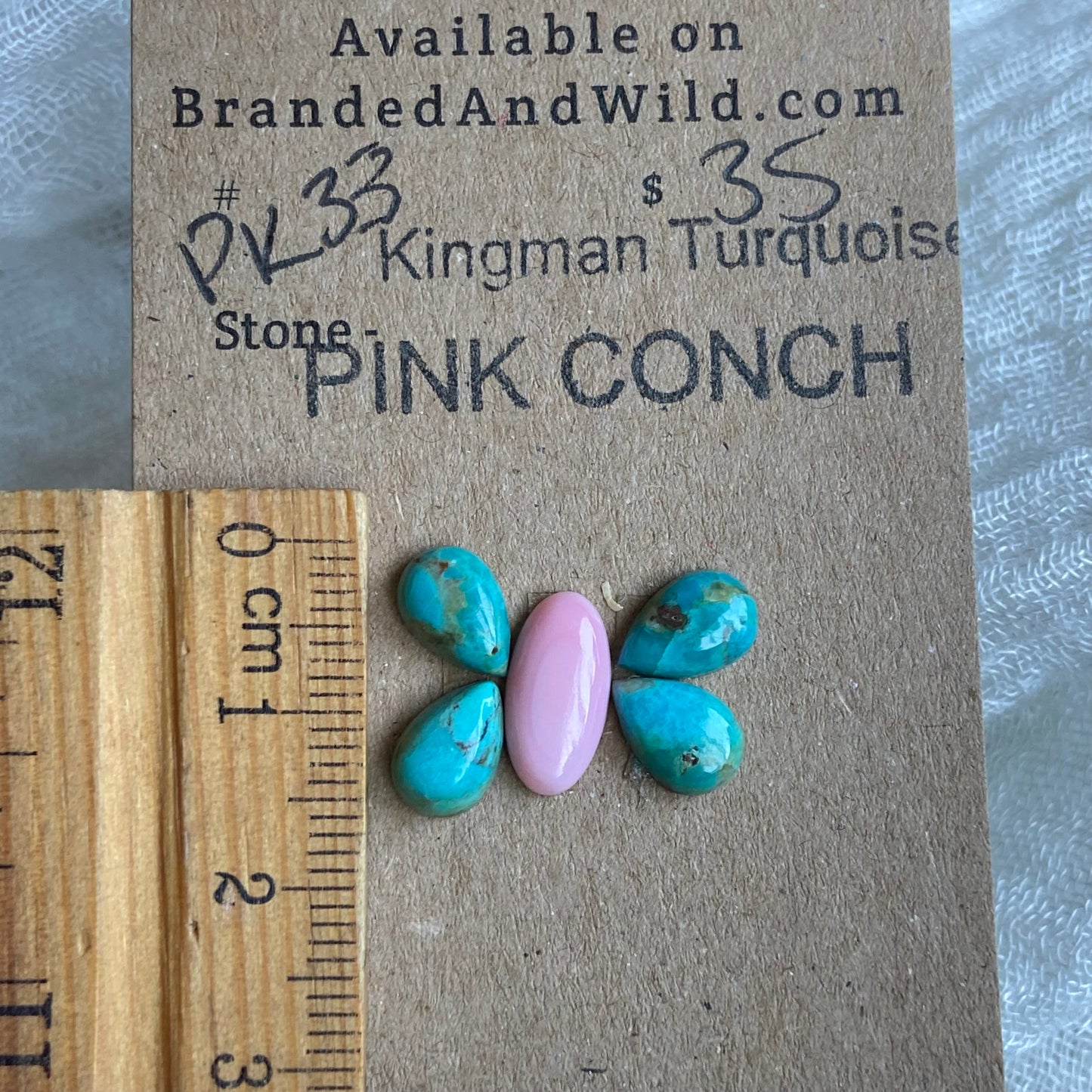 Pink Conch / Oyster Shell Cabochon - PK33