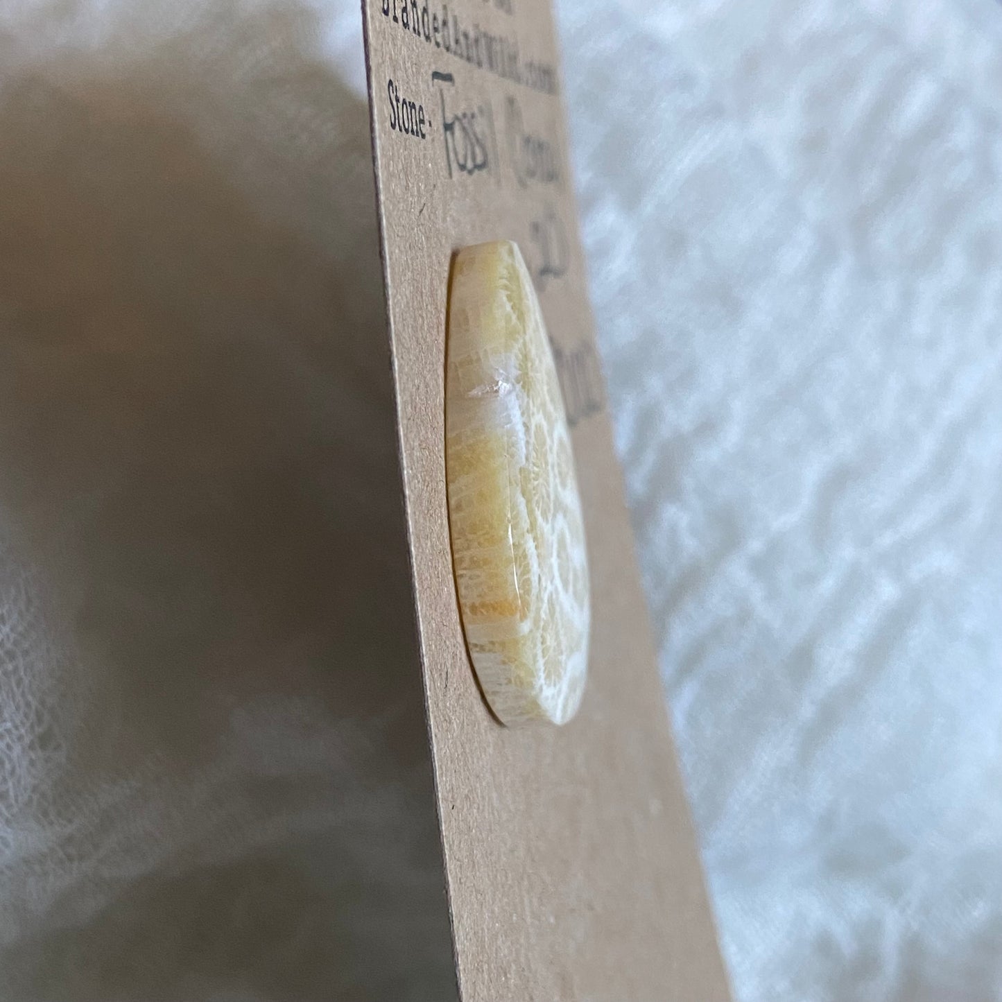 Fossil Coral Cabochon - FC100