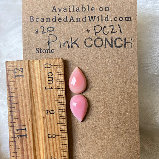 Pink Conch Cabochon - PC21 4F4F328A-8D6D-4CC2-A454-60E40D17BE81 Brandedandwild.com