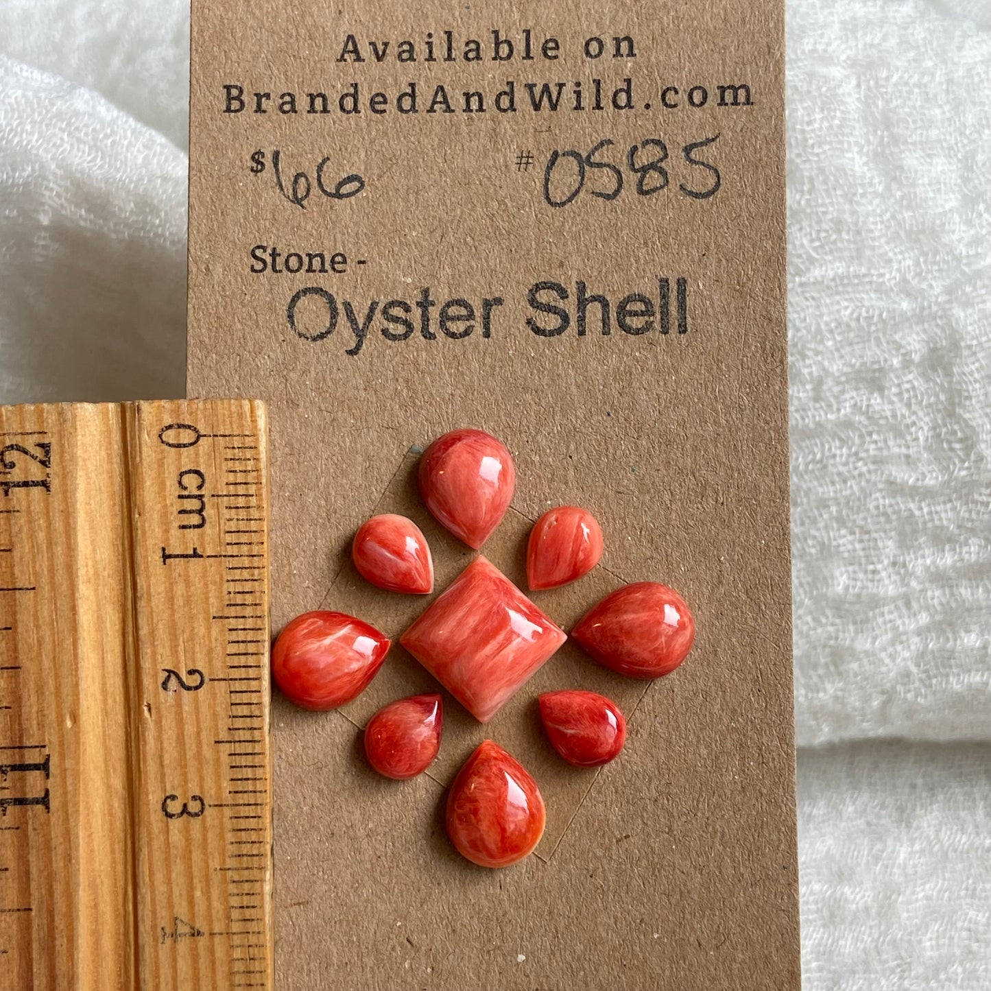 Oyster Shell Cabochon - OS85 4F5B7A4F-083D-422A-B6B9-72A65274A91E Brandedandwild.com