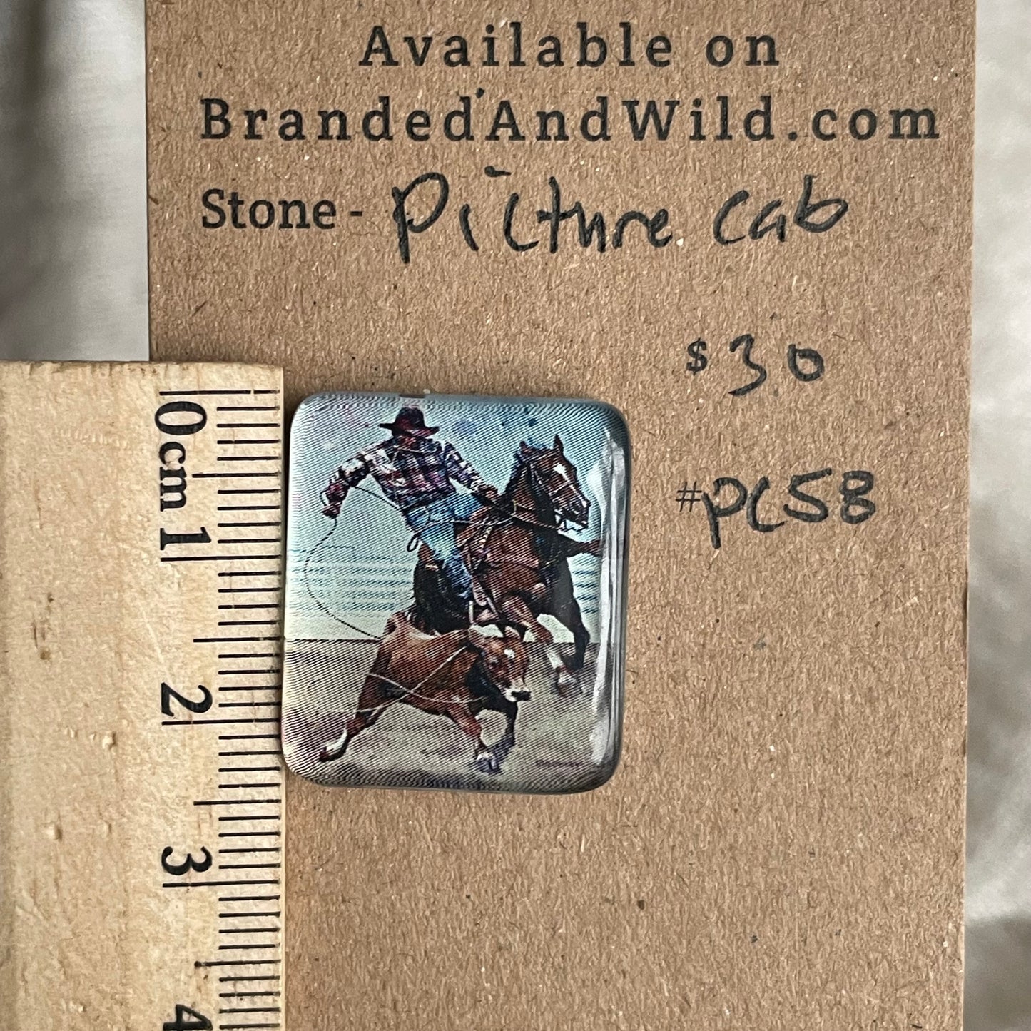 Picture Cabochon - Cabochon - PC58 4F5C036B-12CB-483F-9AE4-3A02B6C5B2C0 Brandedandwild.com