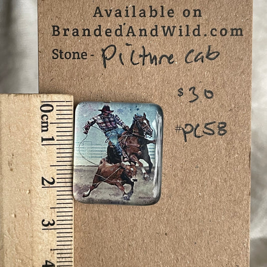 Picture Cabochon - Cabochon - PC58 4F5C036B-12CB-483F-9AE4-3A02B6C5B2C0 Brandedandwild.com