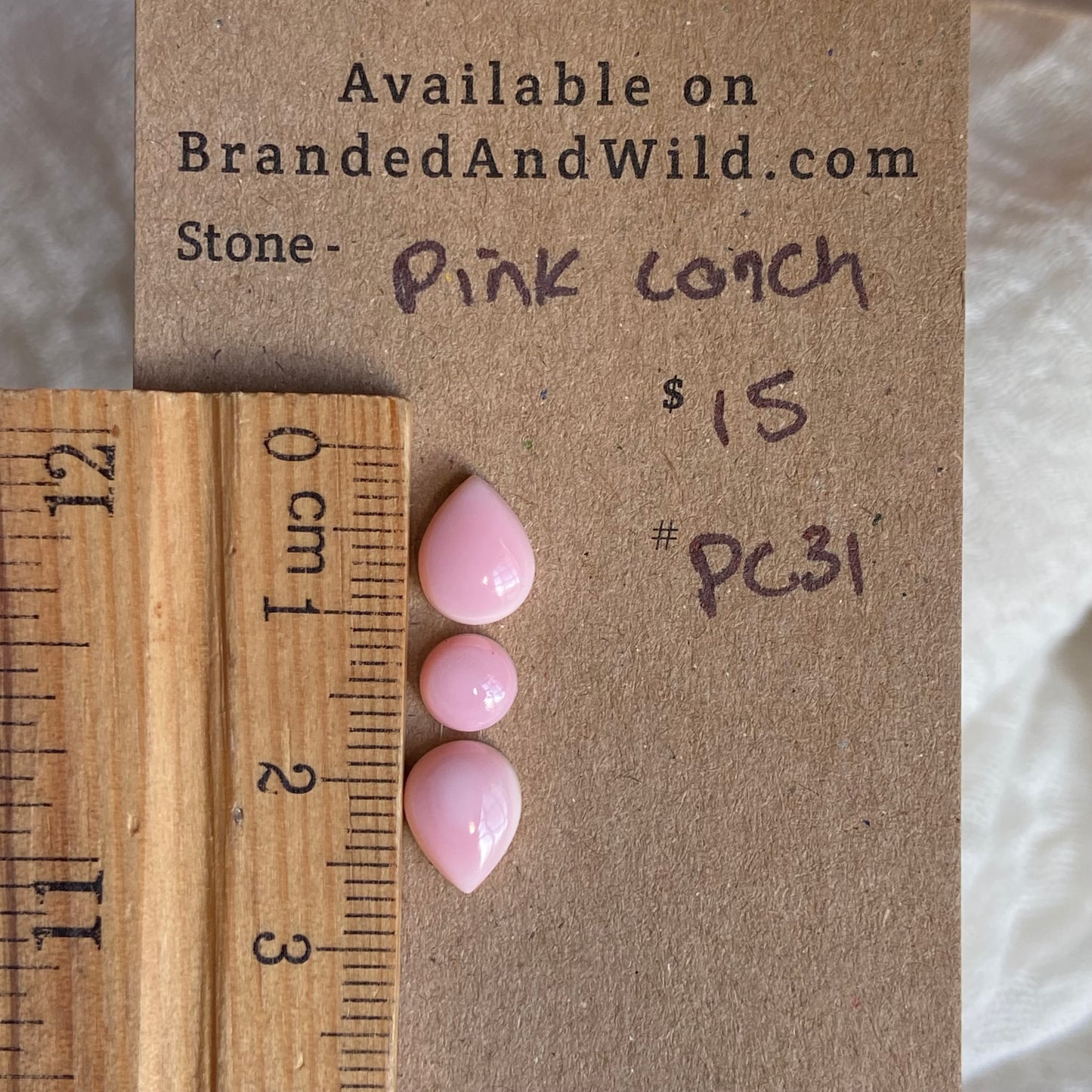 Pink Conch Cabochon - PC31