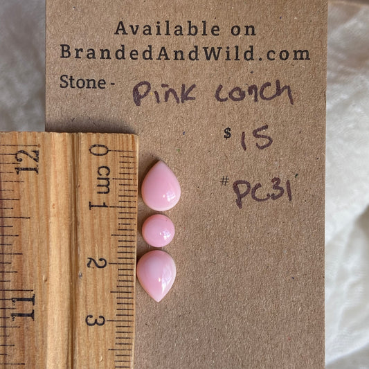 Pink Conch Cabochon - PC31