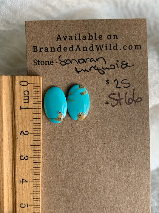 Sonoran Turquoise Cabochon - ST66