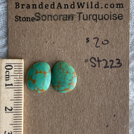 Sonoran Turquoise Cabochon - ST223