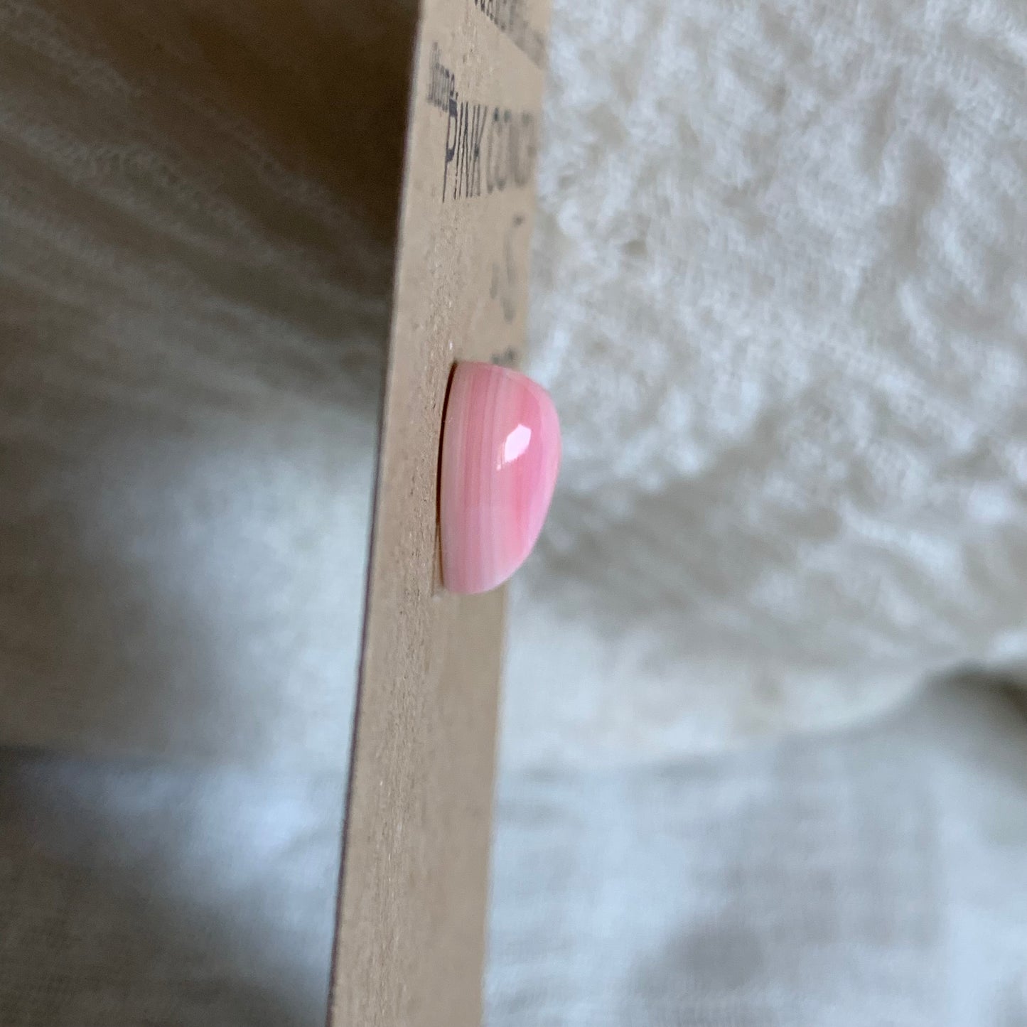 Pink Conch Cabochon - PC80