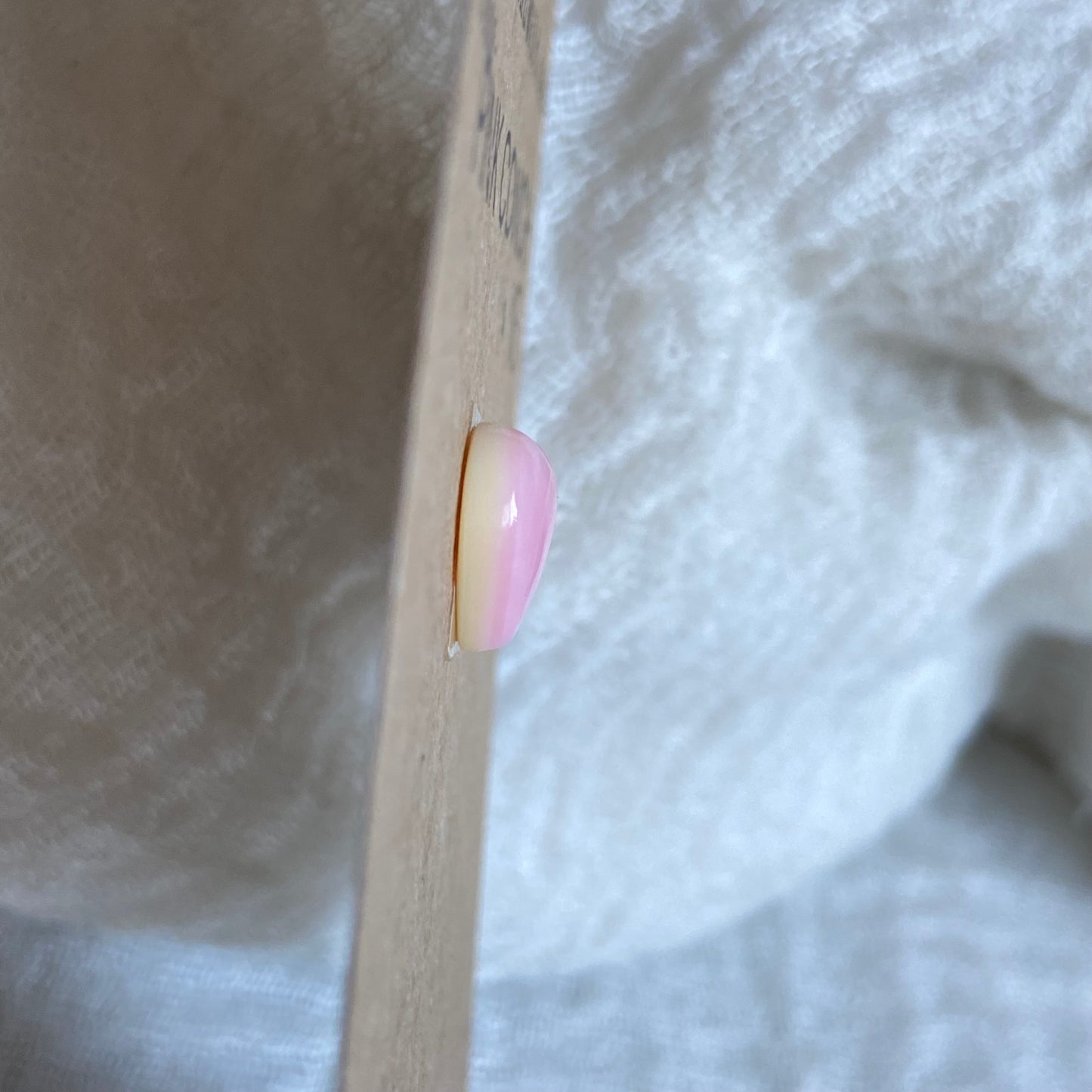 Pink Conch Cabochon - PC48