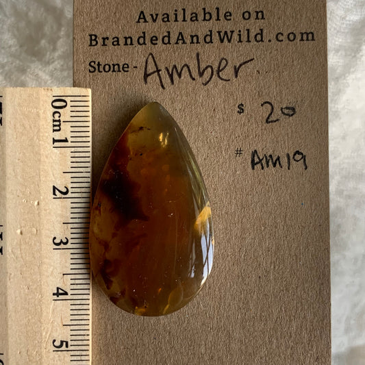 Amber Cabochon AM19