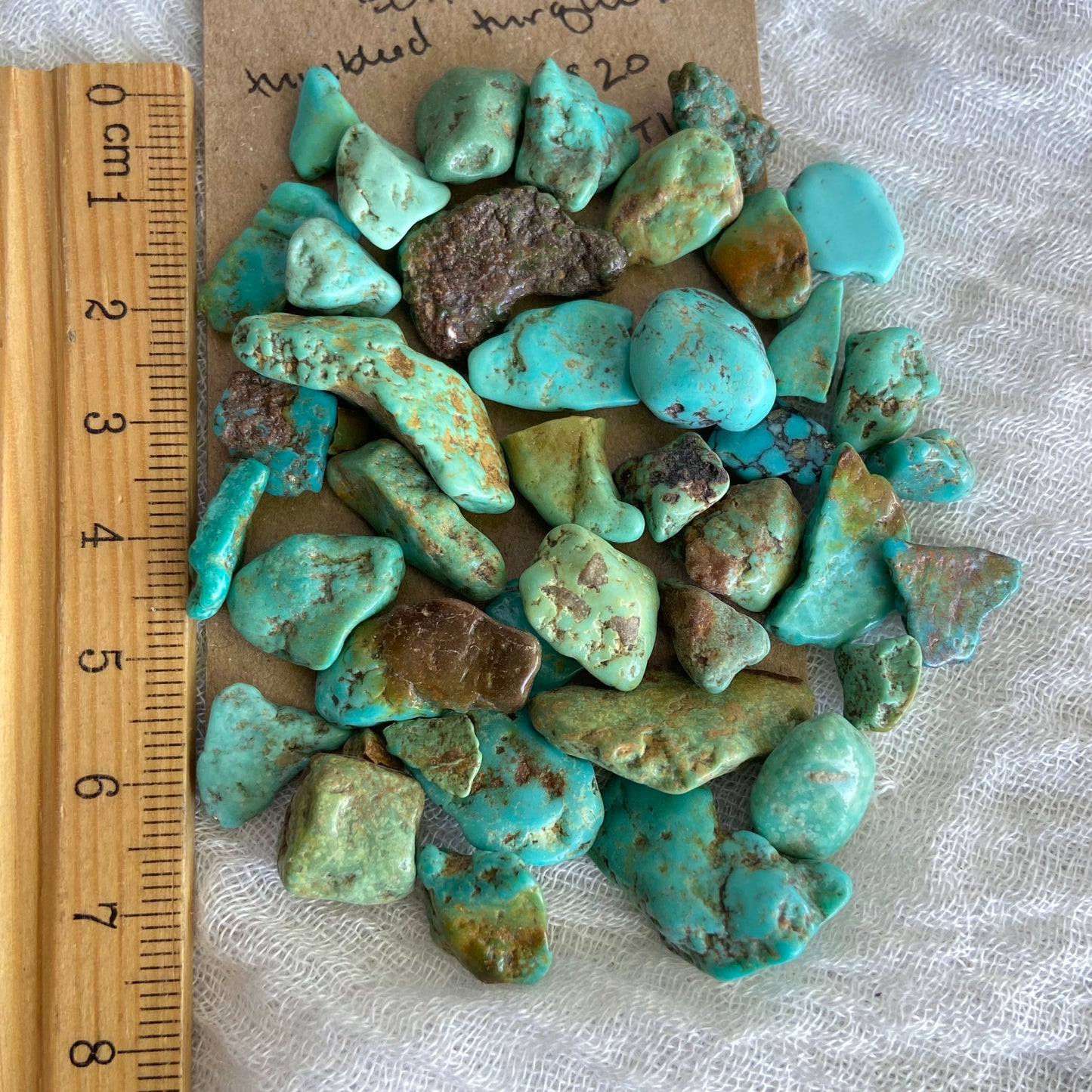 Rough Tumbled Sonoran Gold Turquoise - #ST10